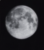 symbole lunar-alphabet-katz 126