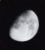 symbole lunar-alphabet-katz 75